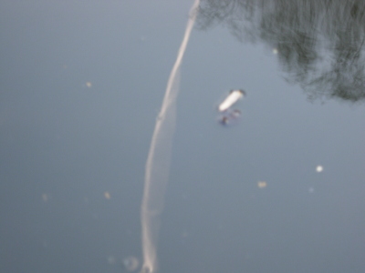 kondensstreifen gespiegelt im wasser